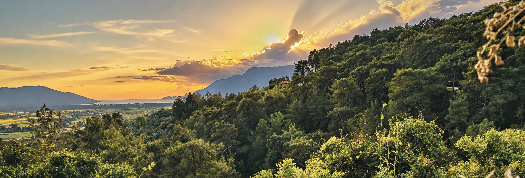 Sun breaking through cloud over the pine-covered slope, the plain and the Gulf of Gökova beyond, the house's red roof among the trees