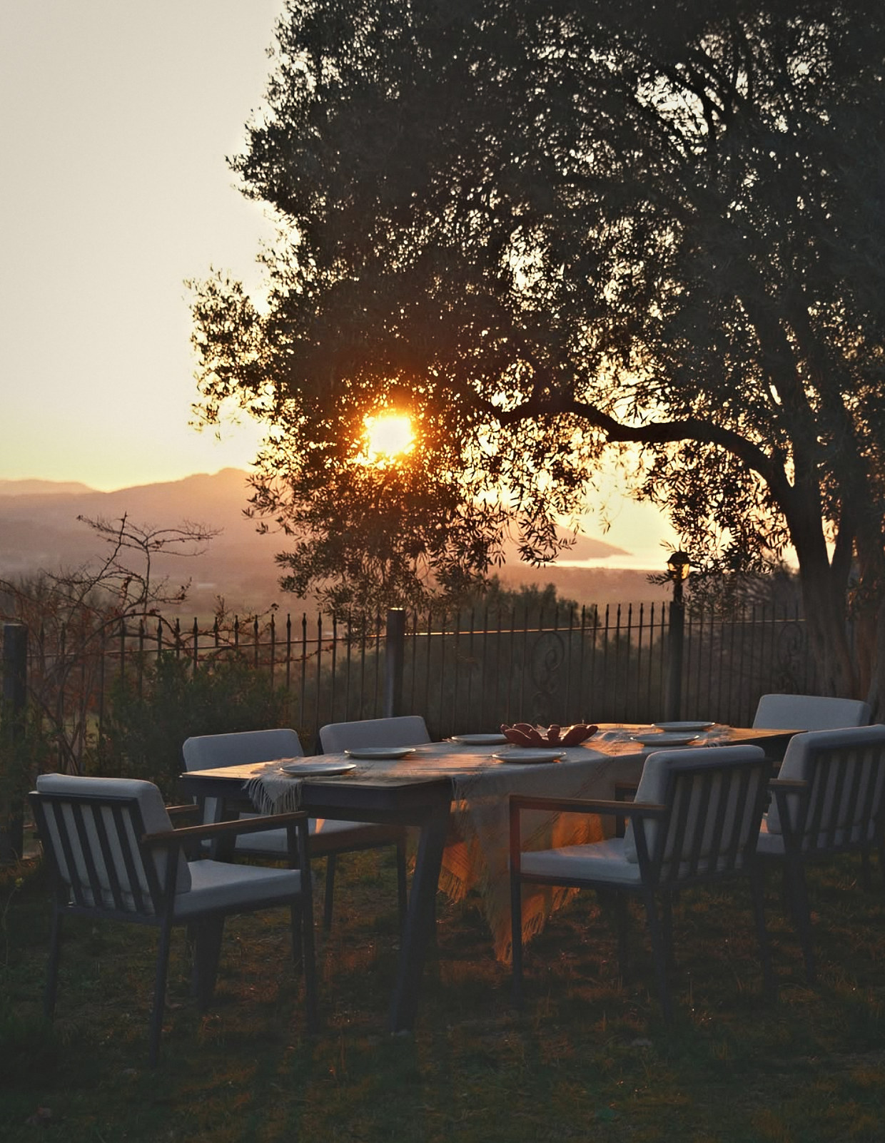 A table set for dinner beneath an old olive tree at sunset, the gulf beyond